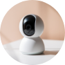 Indoor cameras